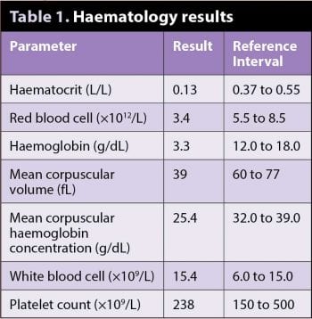 Table 1. Haematology results