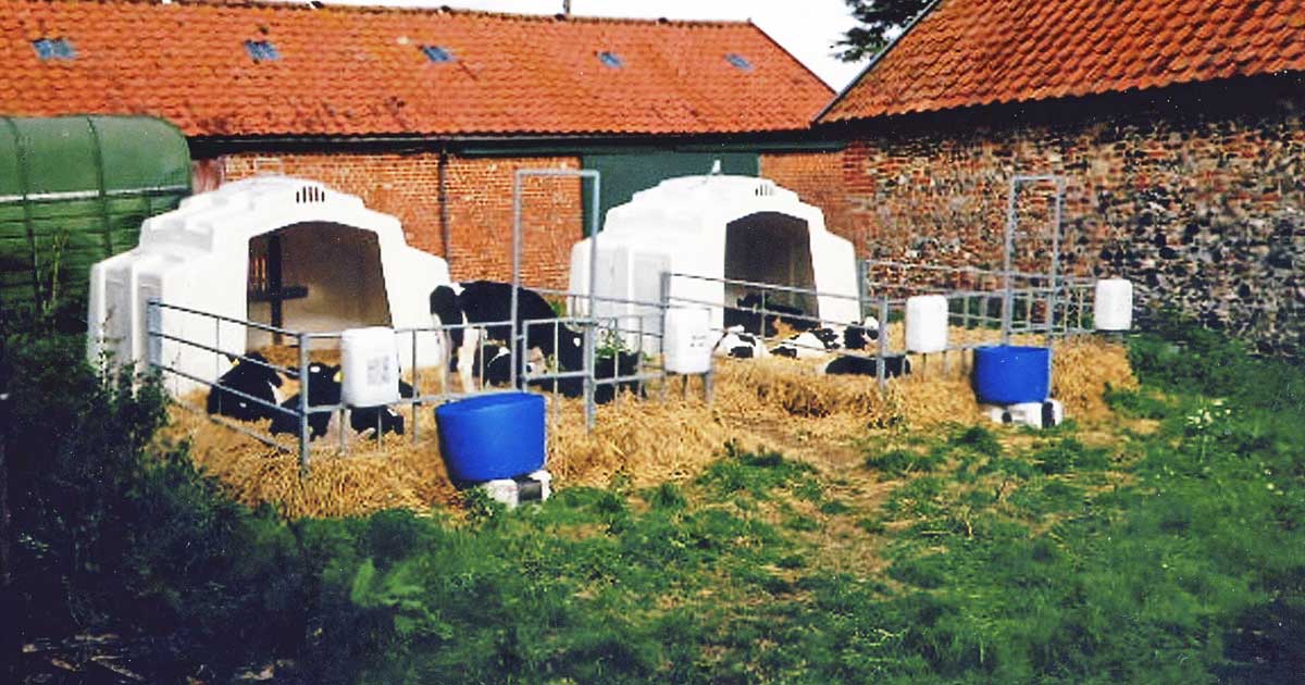 Figure 1. Calf hutches facing south in a sheltered old cattle courtyard.
