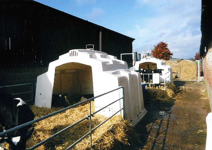 Figure 2. Calf hutches between buildings which could funnel the wind when in certain directions.