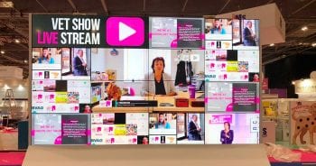 The Live Stream video wall will return to London Vet Show following its debut at last year’s event. Image © @Medivet_UK / Twitter