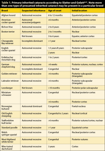 Table 1. Primary inherited cataracts according to Slatter and Gelatt6,31. Note more than one type of presumed inherited cataract may be present in a particular breed.