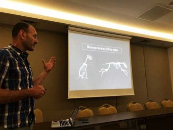 Comparative orthopaedics was launched with Richard Whitelock unlocking the canine stifle.