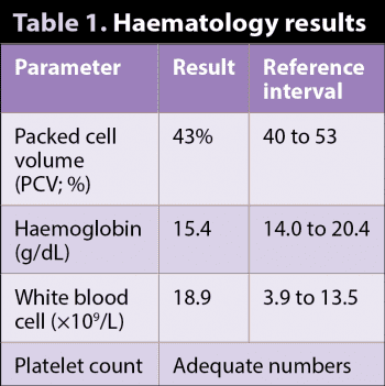 VT4950_Cian_Table1