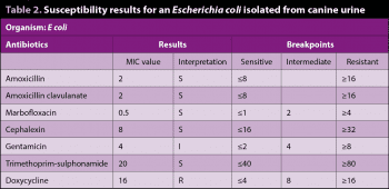 Table 2. Susceptibility results for an Escherichia coli isolated from canine urine