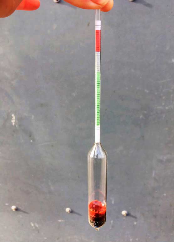 Figure 3. A glass colostrometer can be used to measure colostrum quality.