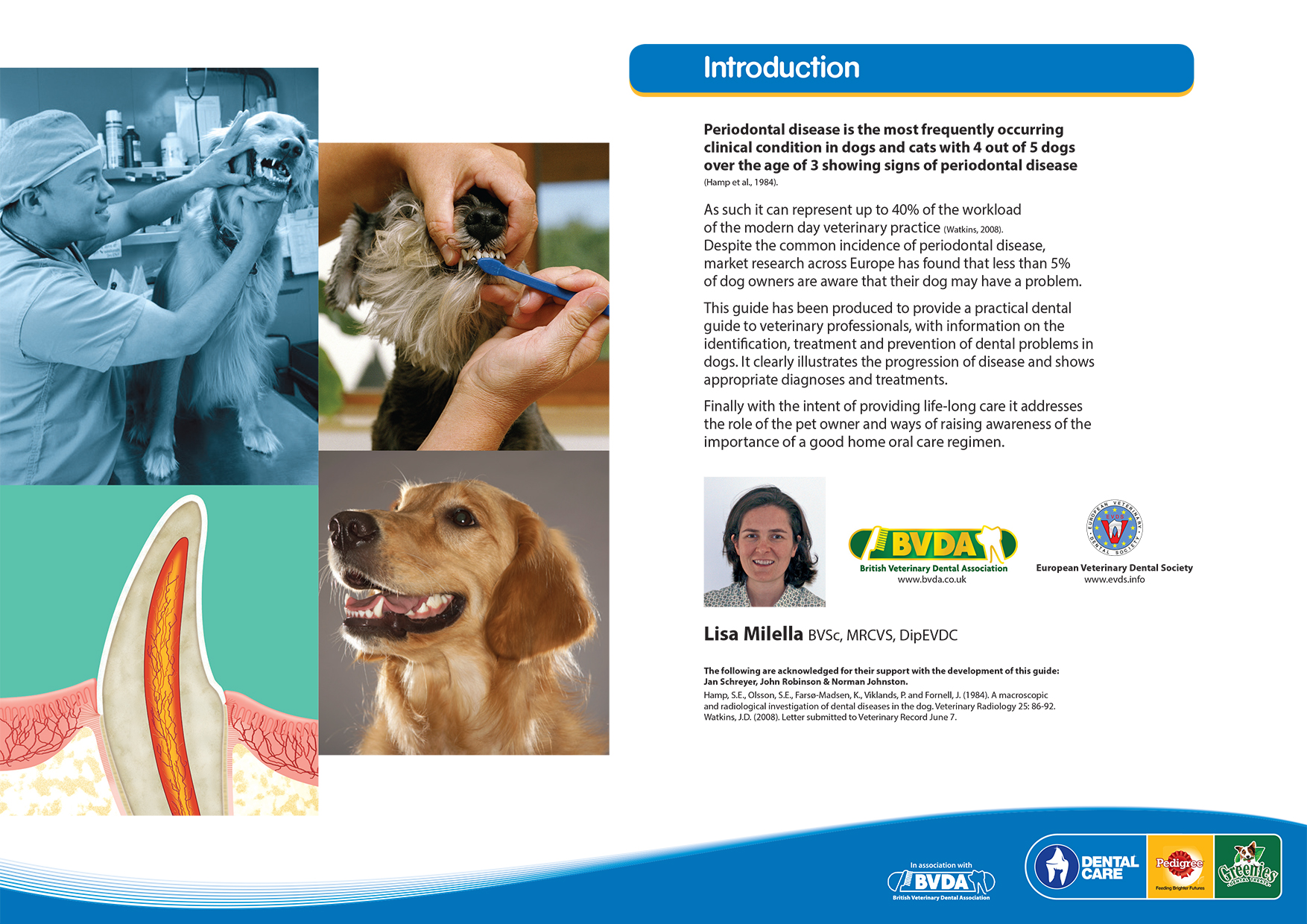 Pedigree greenies online