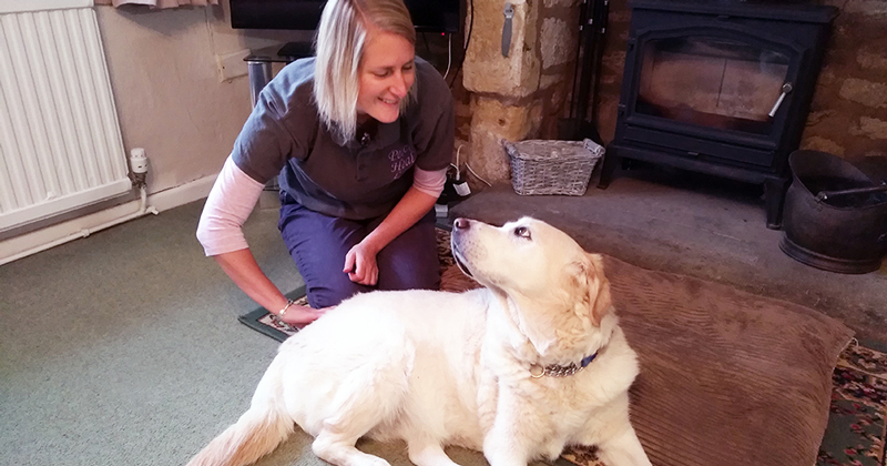 Bella during a canine bowen technique with Rebecca.