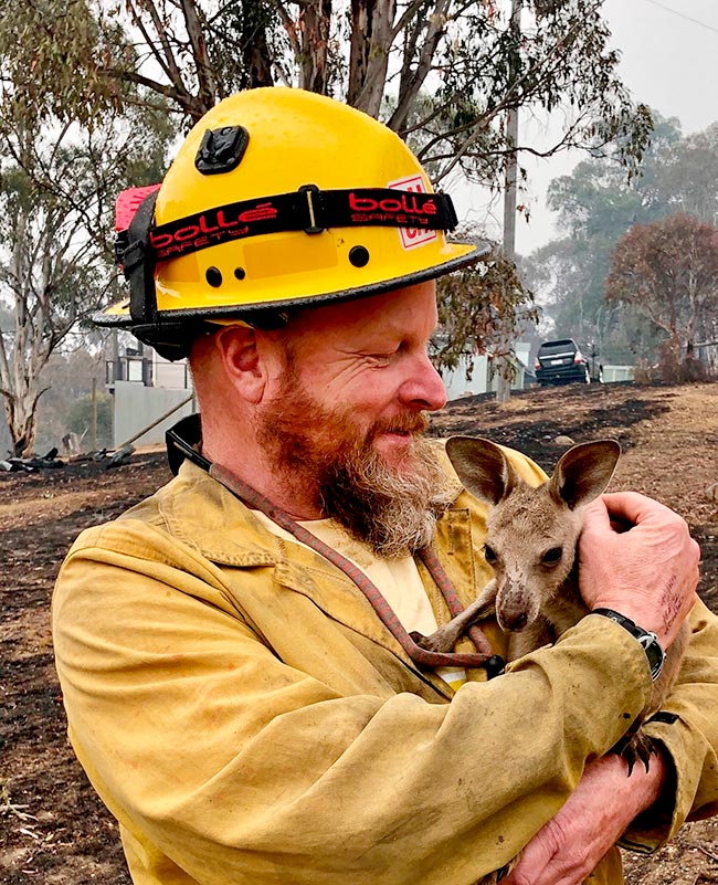 By Pacific Southwest Region 5 from USA - Captain Soldavini with Baby Kangaroo Jan-5-2020 Photo by USDA Forest Service, CC BY 2.0, Link