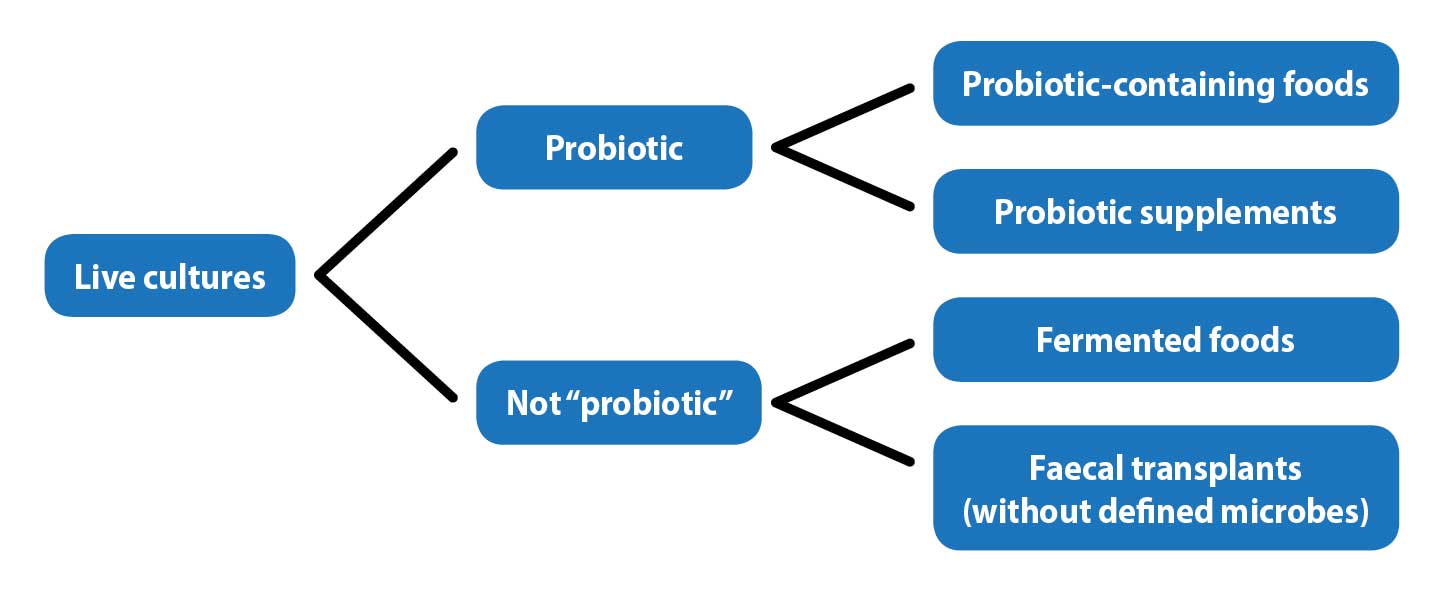 Figure 1. Division of probable probiotic definition for veterinary patients (adapted from Hill et al, 2014).