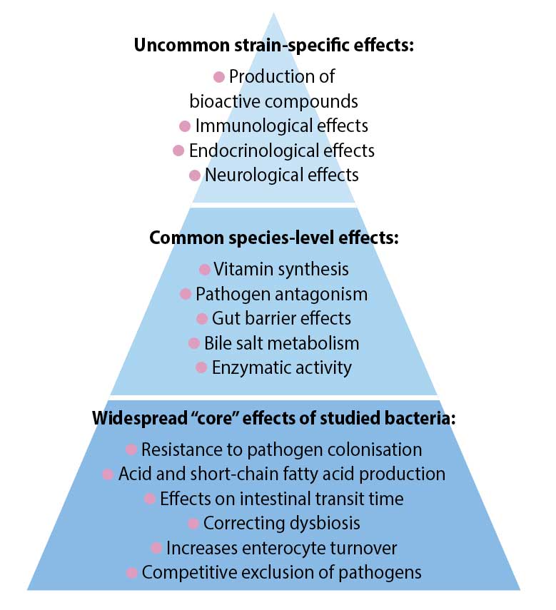 Figure 2. Possible distribution of mechanisms among probiotics and core effects (Adapted from Hill et al, 2014).