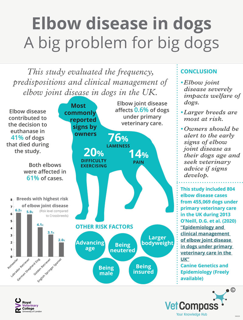 200204-Elbow-disease-infographic