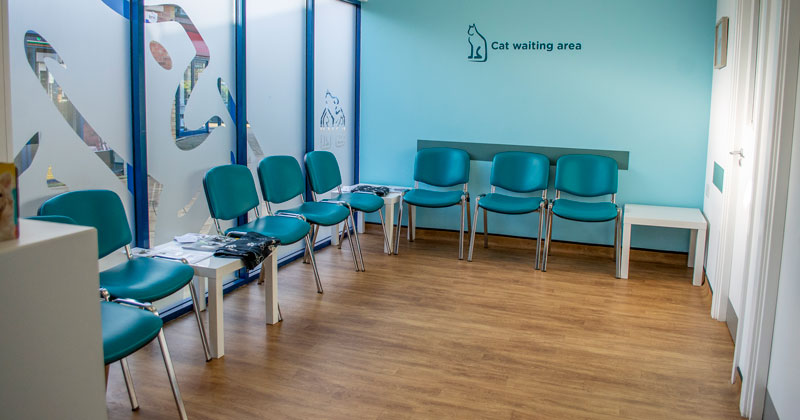 Cat-waiting-area-Spinney-Vets_DSC1211