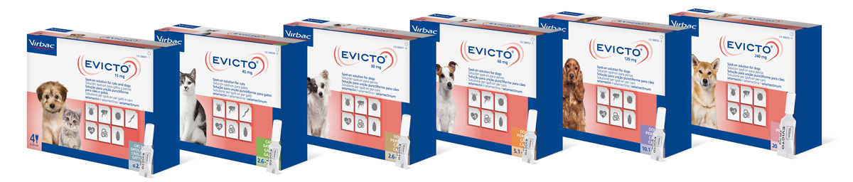EVICTO