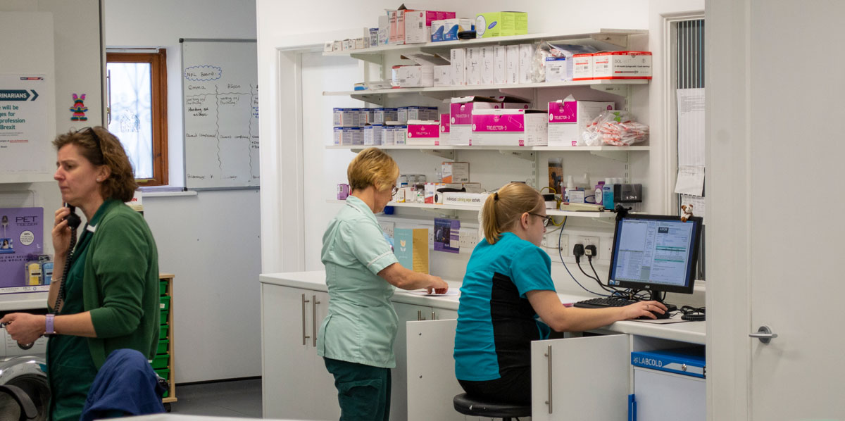 Nurse-station-Spinney-Vets_DSC1041