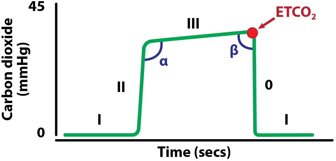 Figure 3. A normal capnogram trace illustrating the different phases.