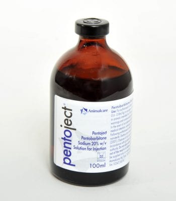 Animalcare's Pentoject will be back in wholesalers this month.