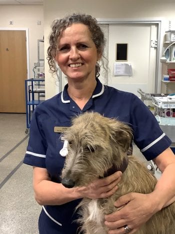 Animal nursing assistant Julie Rutter.