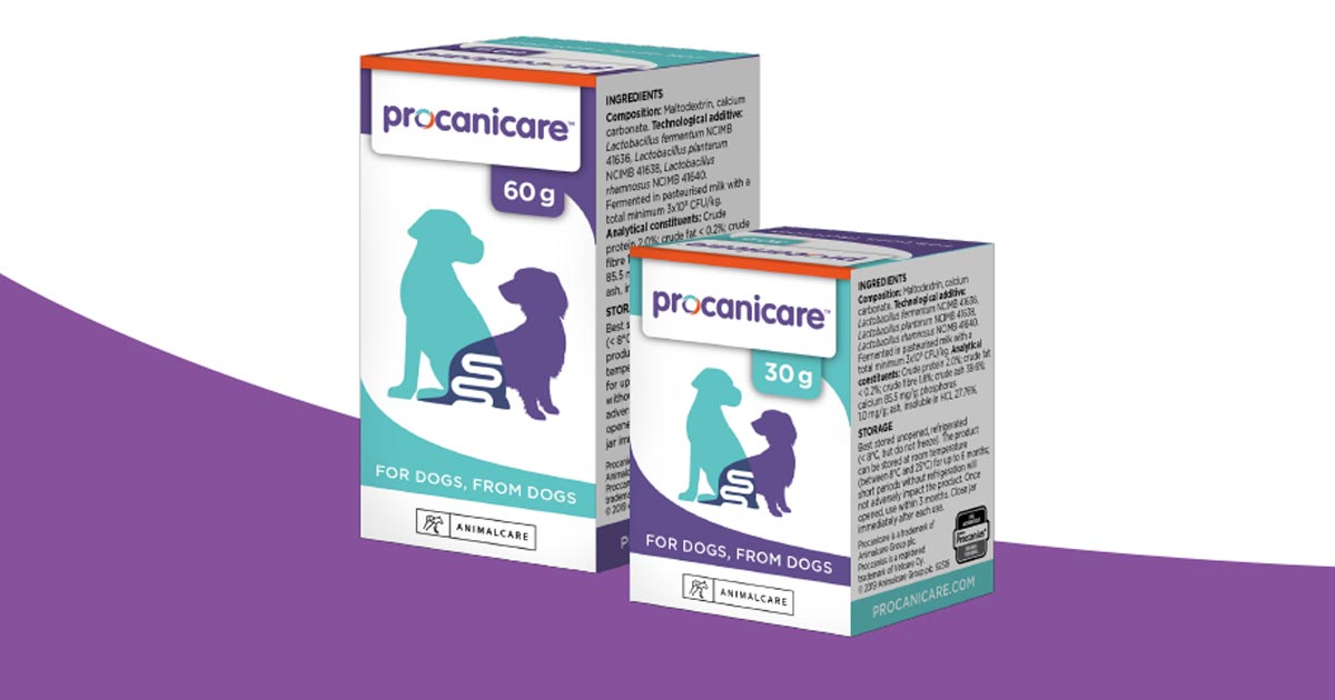 Delivering the benefits of three live strains of canine specific Lactobacillus bacteria, Procanicare is an ideal GI support product to maintain balance in the GI intestinal microbiome of dogs, particularly when dysbiosis is a risk.