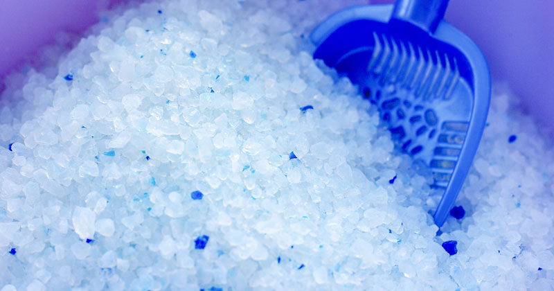 Silicone cat litter.