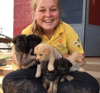Volunteer with vaccinated puppies in Cambodia 2019.