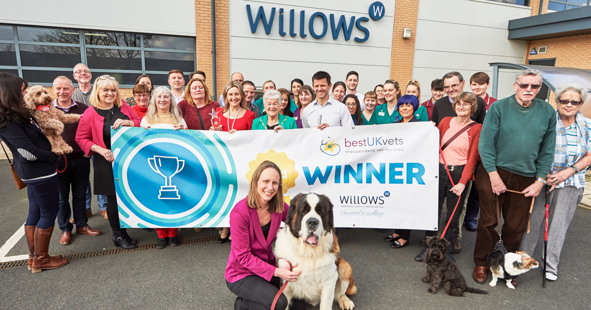 Willows wins Best UK Vet Awards Vet Times
