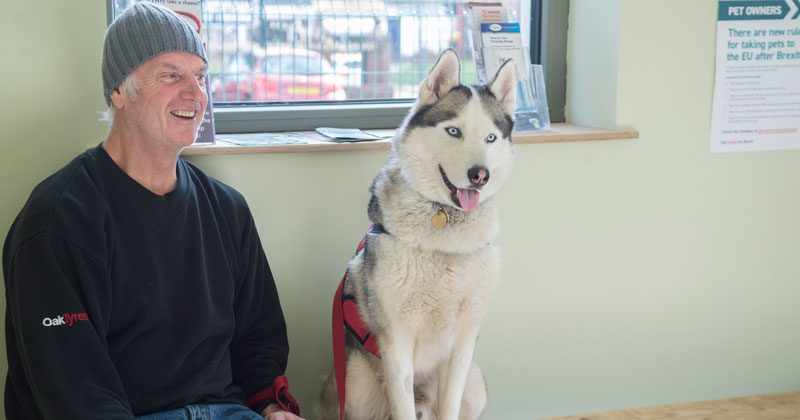 Clients_Bryn-Veterinary-Centre_DSC2113