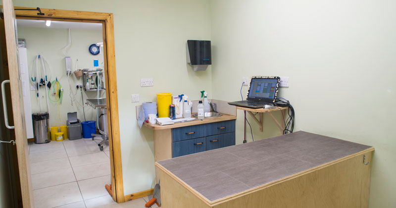 Consult_Bryn-Veterinary-Centre_DSC2177