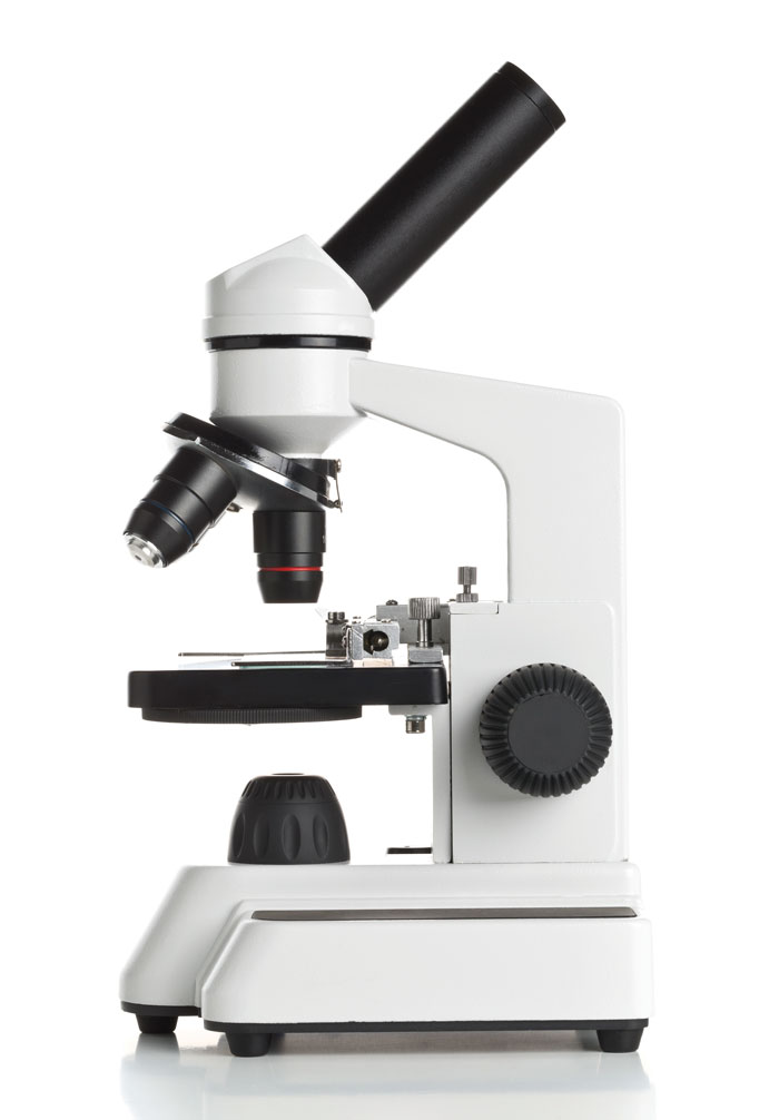 Microscope-AdobeStock_169341037