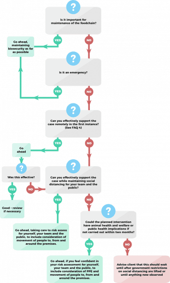 RCVS flow chart