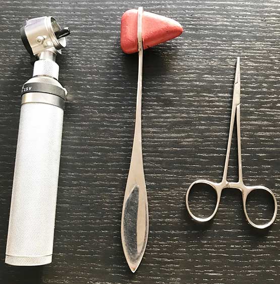 Figure 1. Tools commonly used for the neurological examination (light source, hammer, haemostat).