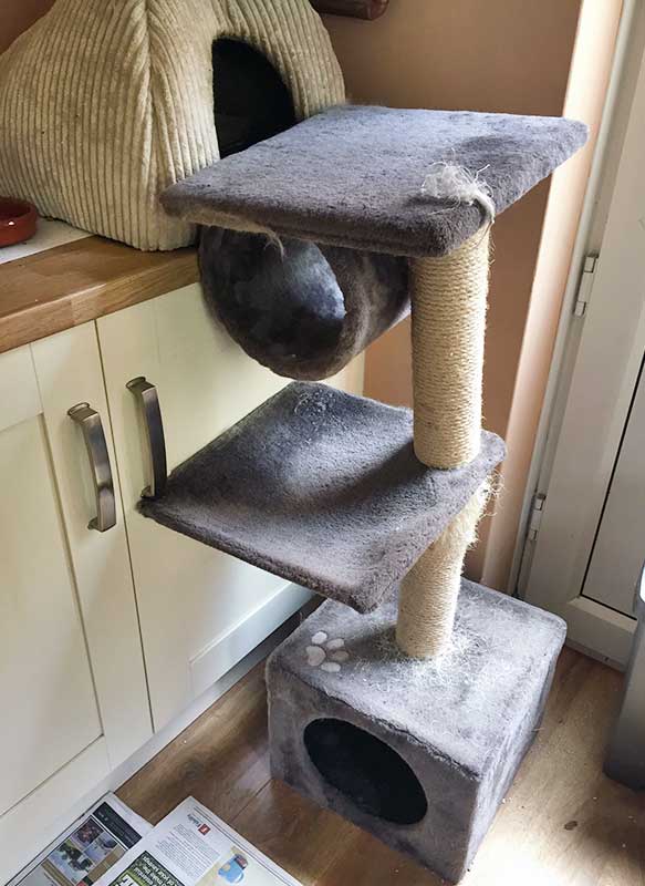Figure 6. A scratching tower used as steps up to a higher surface for a cat with degenerative joint disease.