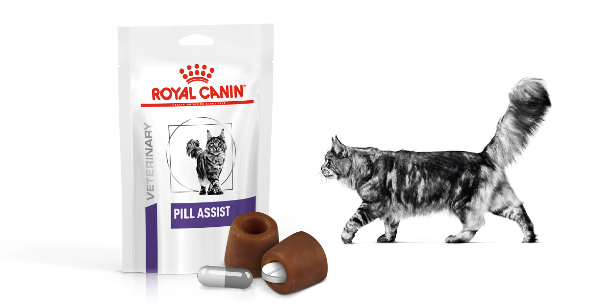 sponsored New ROYAL CANIN PILL ASSIST for cats Vet Times