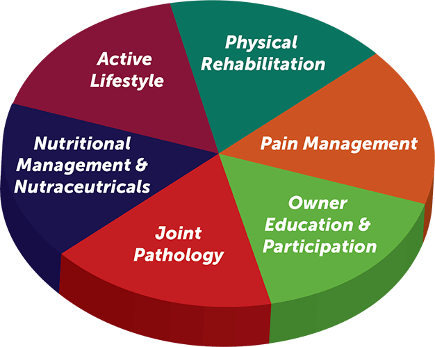 Figure 1. A diagram outlining the key strategic components of effective OA management. Image: modified from Palmer and Churchill (2019).