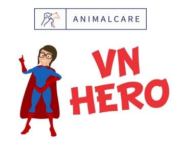 VN-HERO-2