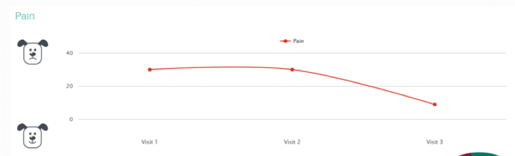 Figure 8. Graphical illustration using OA patient management tools helps owners and the vet team visualise an animal’s progress.