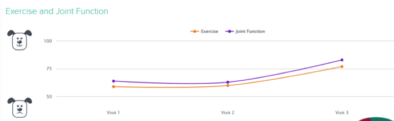 Figure 8. Graphical illustration using OA patient management tools helps owners and the vet team visualise an animal’s progress.