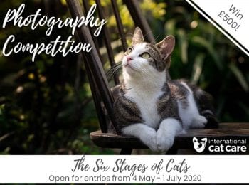 competition-image