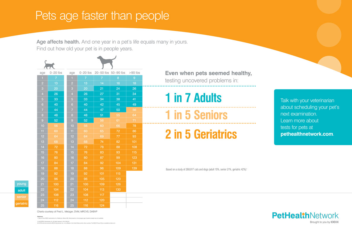 Figure 1. Pet age chart by the Pet Health Network via Idexx.