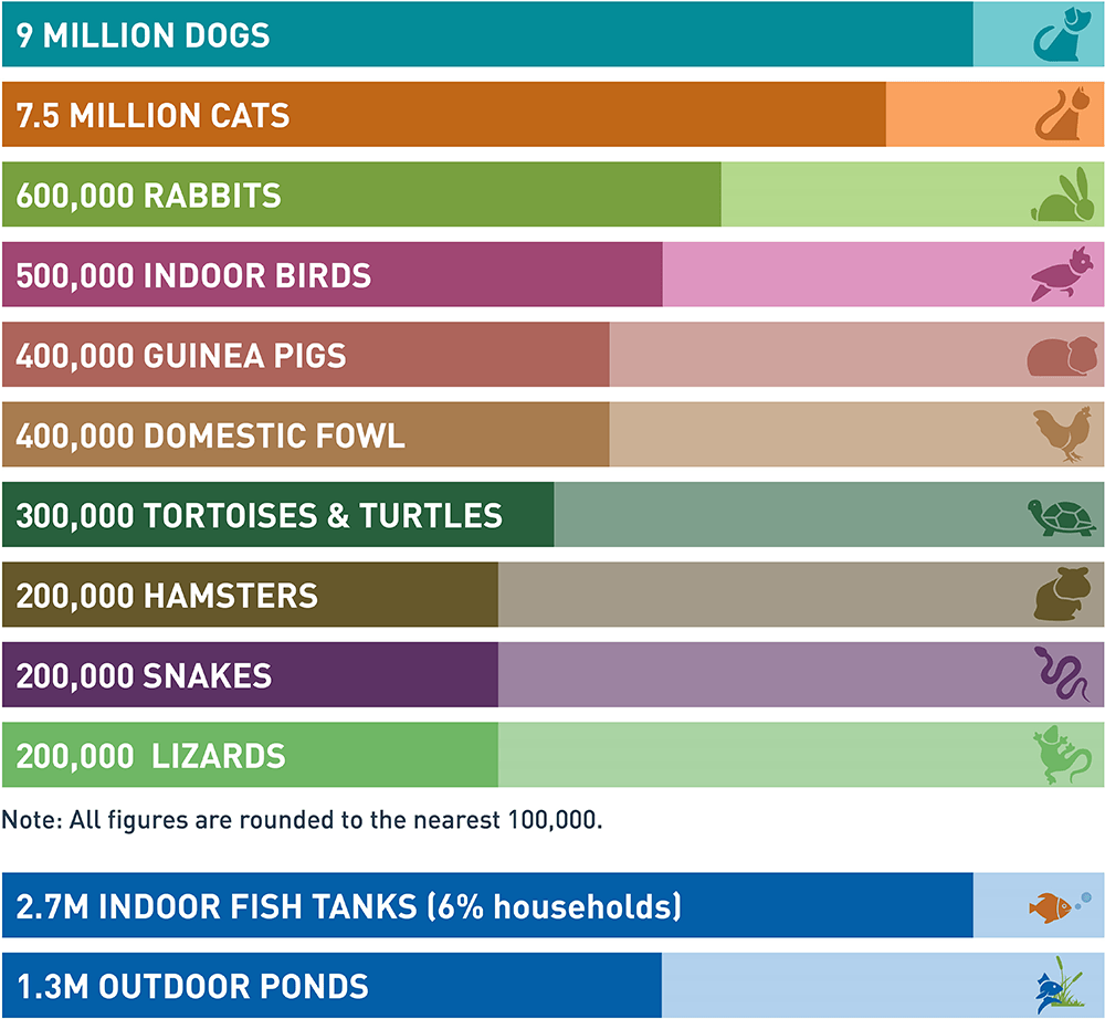 PFMA top 10 pets 2020
