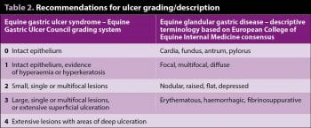 Table 2. Recommendations for ulcer grading/description