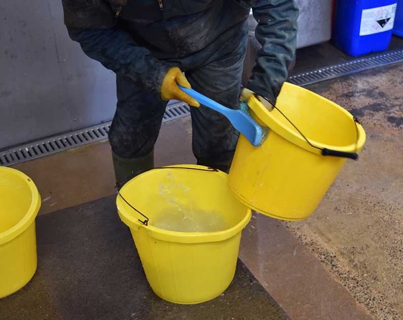 Figure 4 (left). Keeping feeding equipment clean.