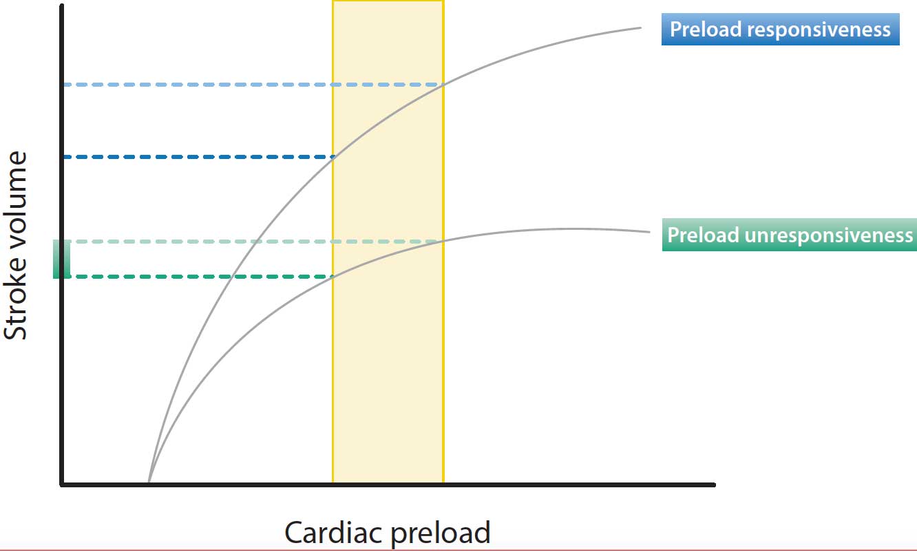 Figure 2. The Frank‑Starling curve. The change in stroke volume at the steep curve (preload responsiveness) will be greater than the flat curve (preload unresponsiveness).