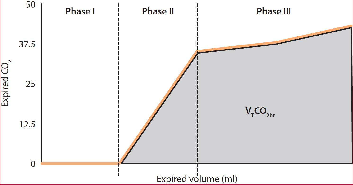 Figure 4. Diagram representing a volumetric capnography during a normal respiratory cycle. Phase I. The final gas free of CO2 from the previous inspiration that remained within the proximal conducting airways and the breathing circuit. Phase II. The CO2 coming from lung units with different rates of ventilation and perfusion. Phase III. The gas from the alveoli where gas exchange takes place. VTCO2br = breath-by-breath amount of eliminated CO2.