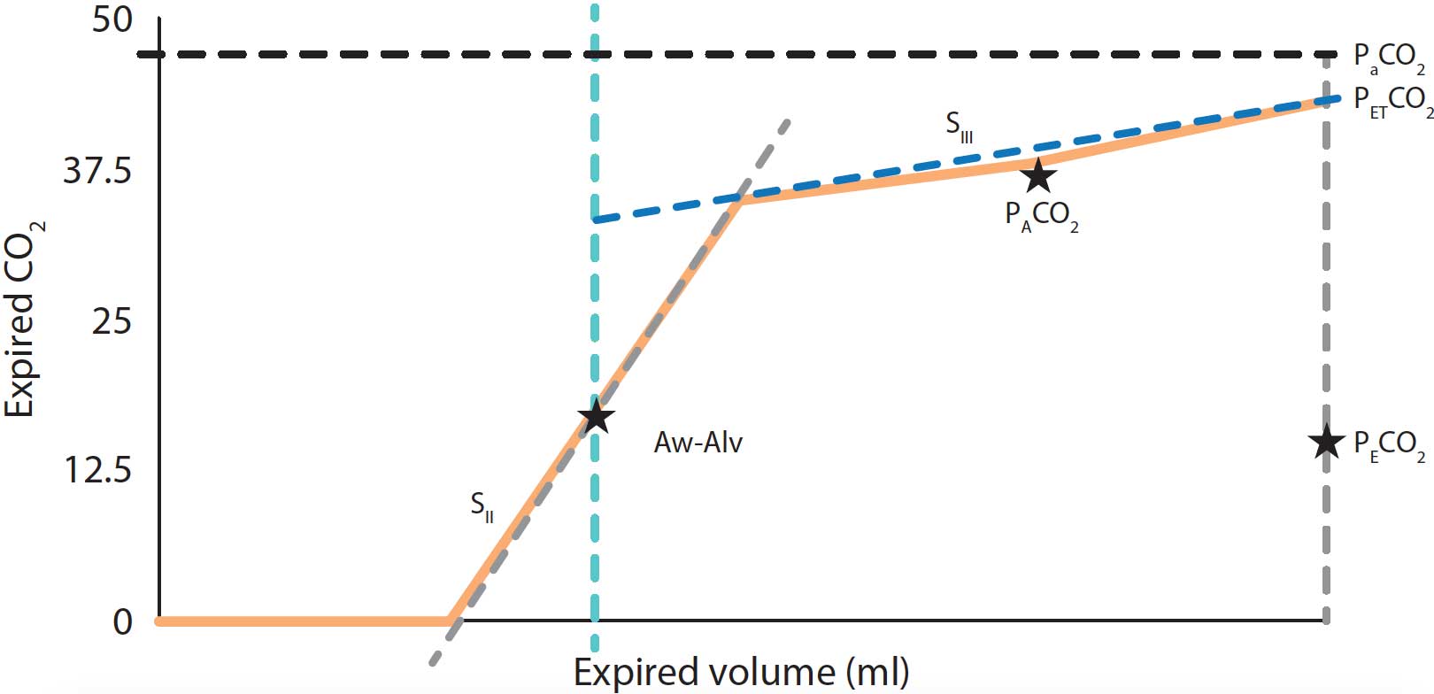 Figure 5. Diagram representing a volumetric capnography during a normal respiratory cycle. SII = the slope of phase II, determined by the gas rich in CO2 coming from the alveoli; SIII = the slope of phase III created by gas from the alveolar compartment and provides V/Q matching information; Aw-Alv = the mean airway-alveolar interface, which is the division between the airway and the alveolar compartment; PACO2 = the mean partial pressure of CO2 within the alveolar compartment; PaCO2 = the arterial tension of CO2; PECO2 = the concentration of mixed expired CO2; PETCO2 = the end-tidal partial pressure of CO2.
