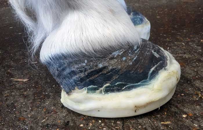 Figure 3. Imprint glue on plastic shoes can be used to provide foot support.