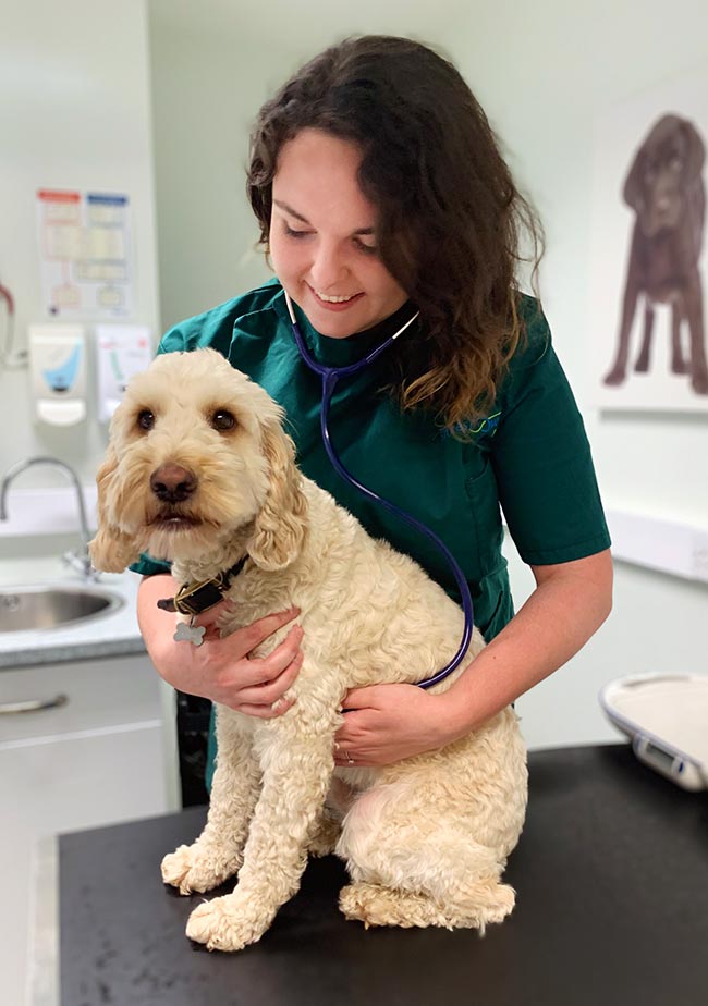 Zoe Hood, from Shires Veterinary Practice in Staffordshire, is one of the first cohort to complete the programme.