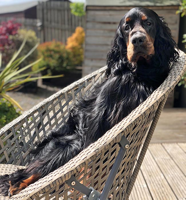 Ralph relaxing at home. Image © Jenna Forbes