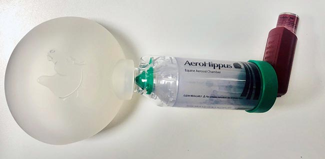 Figure 4. A mask for administration of inhaled medications.