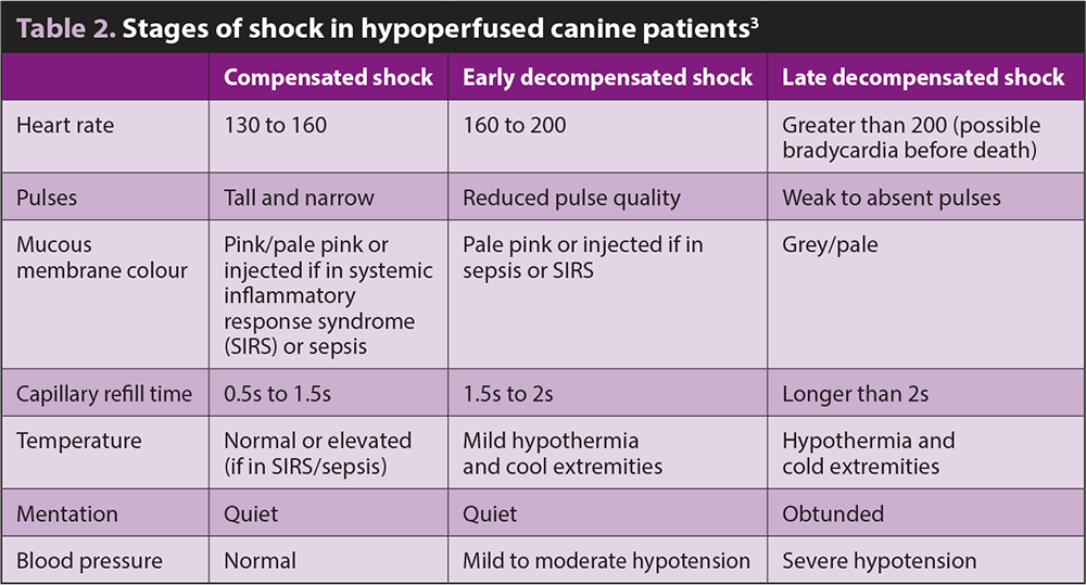 Table 2. Stages of shock in hypoperfused canine patients3