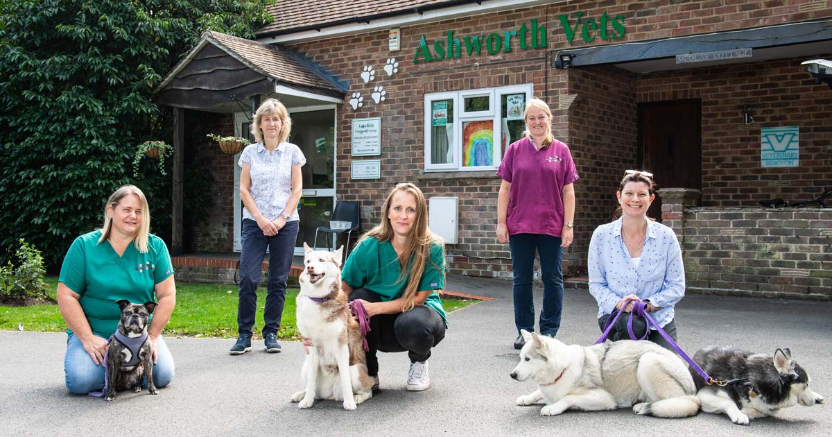 From left: Sam Webb with Kobo, Jayne Fisher, Kerry Lambert with Rhea, Denise Tucker, and Lucia Laurie with Isla and Star.